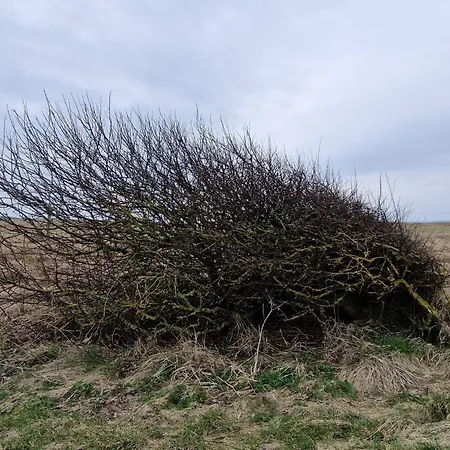 4 Star In Spottrup 펜션 Lihme