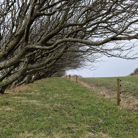 4 Star In Spottrup 펜션 *