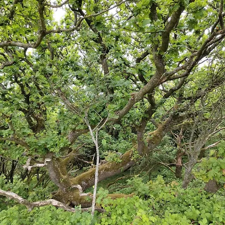 4 Star In Spottrup 펜션 Lihme